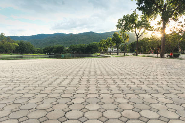 Best Local Driveway Pavers  in Maumelle, AR